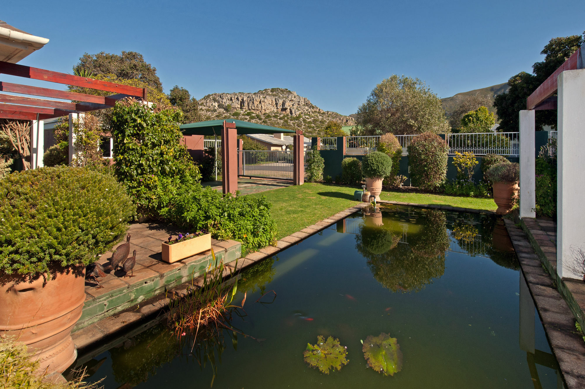 Brown Jug Guest House Hermanus Buitenkant foto